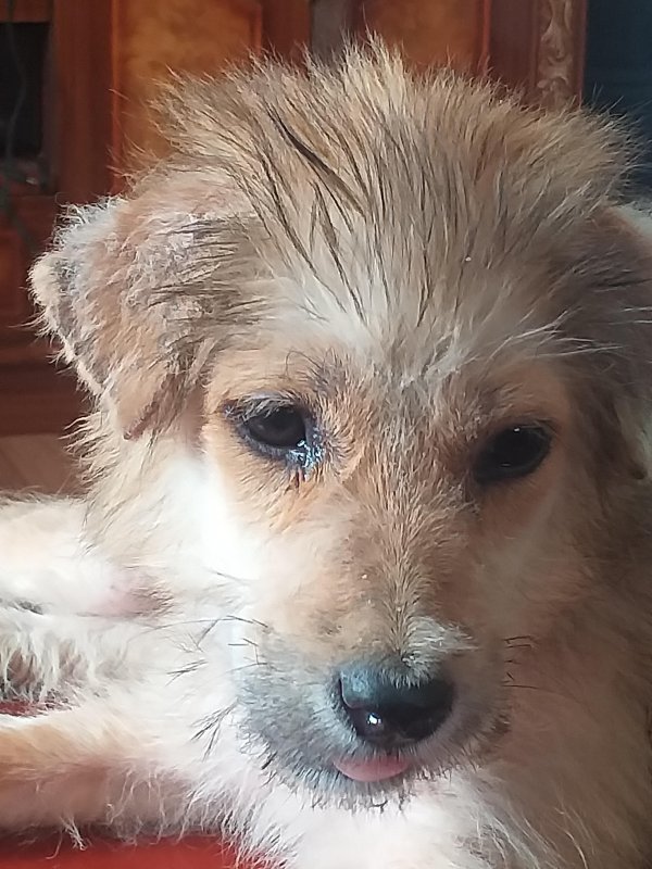 animallover uploaded   5 year/s ago