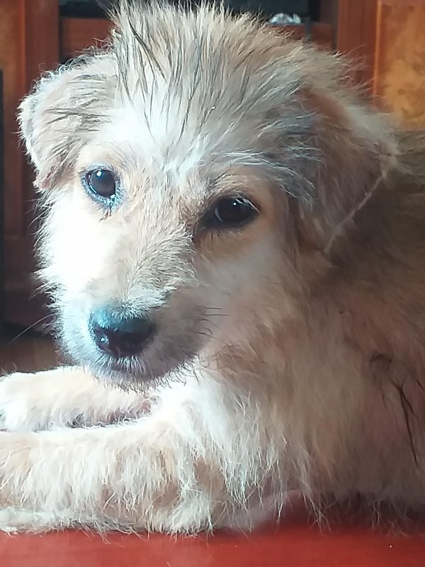 animallover uploaded   5 year/s ago