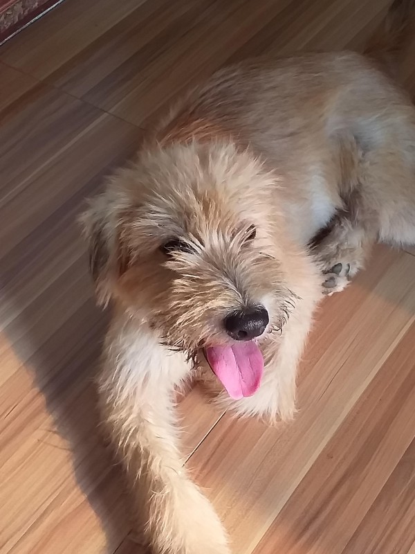 animallover uploaded   4 year/s ago