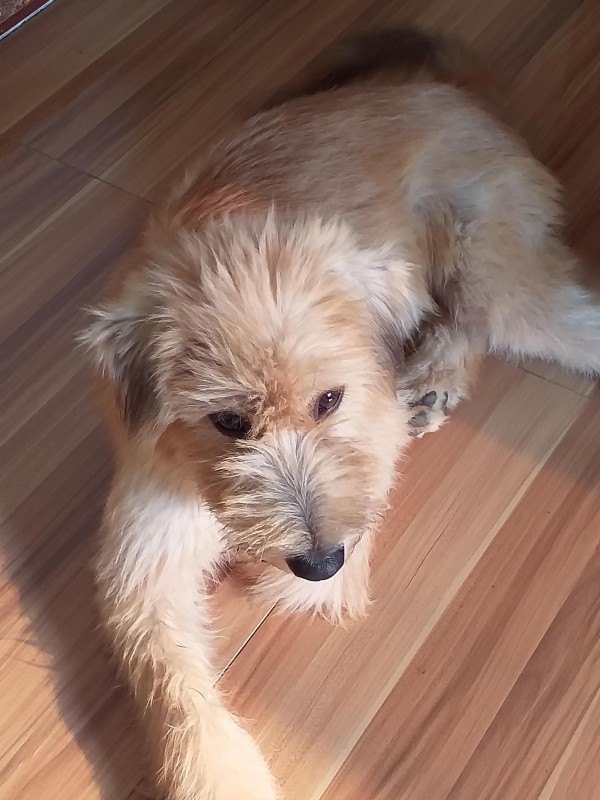 animallover uploaded   4 year/s ago