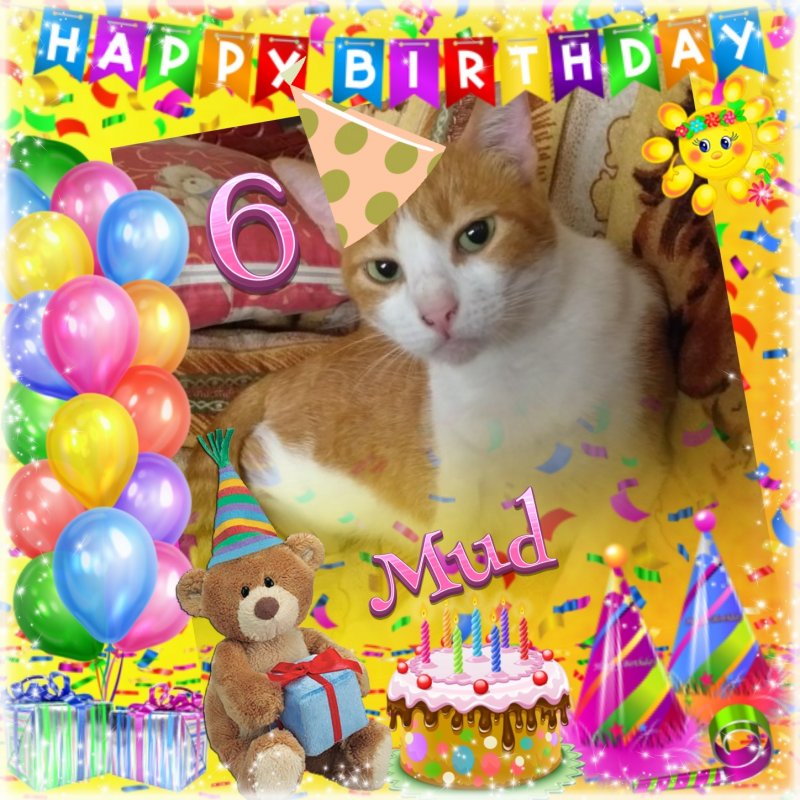 Mud of the animallover family