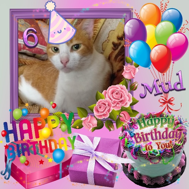 Mud of the animallover family