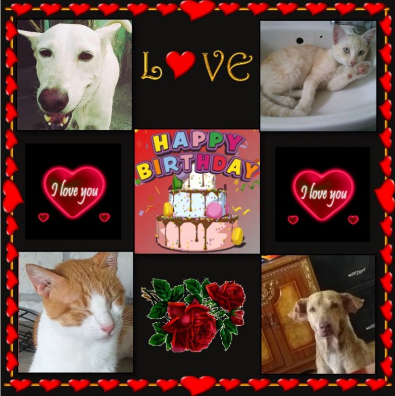 Mud of the animallover family