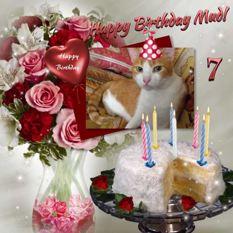 Mud of the animallover family