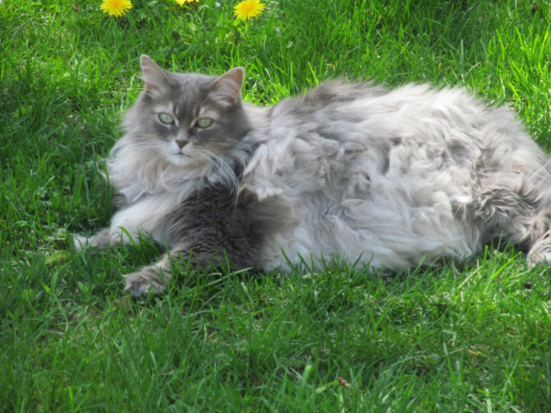 bbct549 uploaded   4 year/s ago