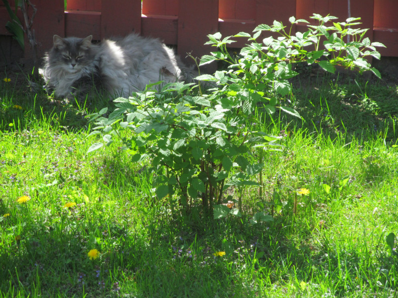 bbct549 uploaded   4 year/s ago