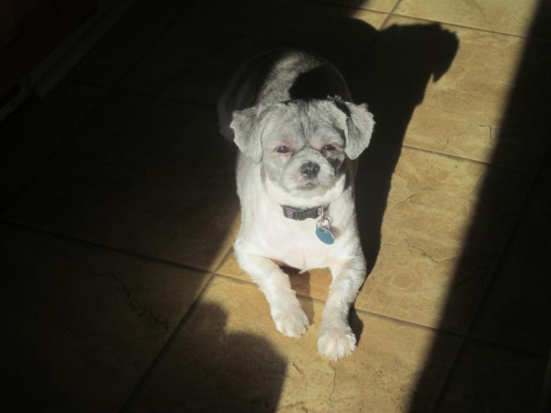 bbct549 uploaded   9 year/s ago