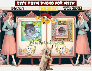 Gripette of the bbct549 family