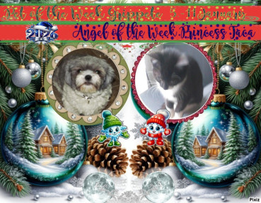 Gripette of the bbct549 family