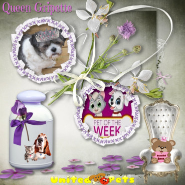 Gripette of the bbct549 family