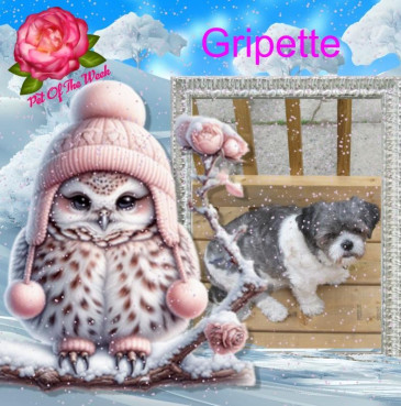 Gripette of the bbct549 family