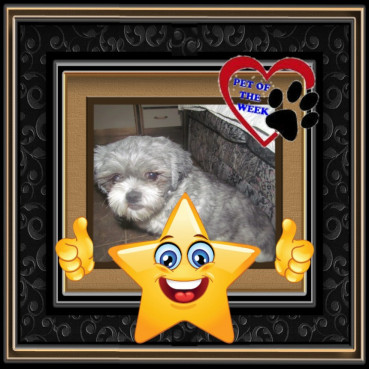 Gripette of the bbct549 family