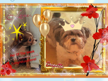 bbct549 uploaded   7 hour/s ago