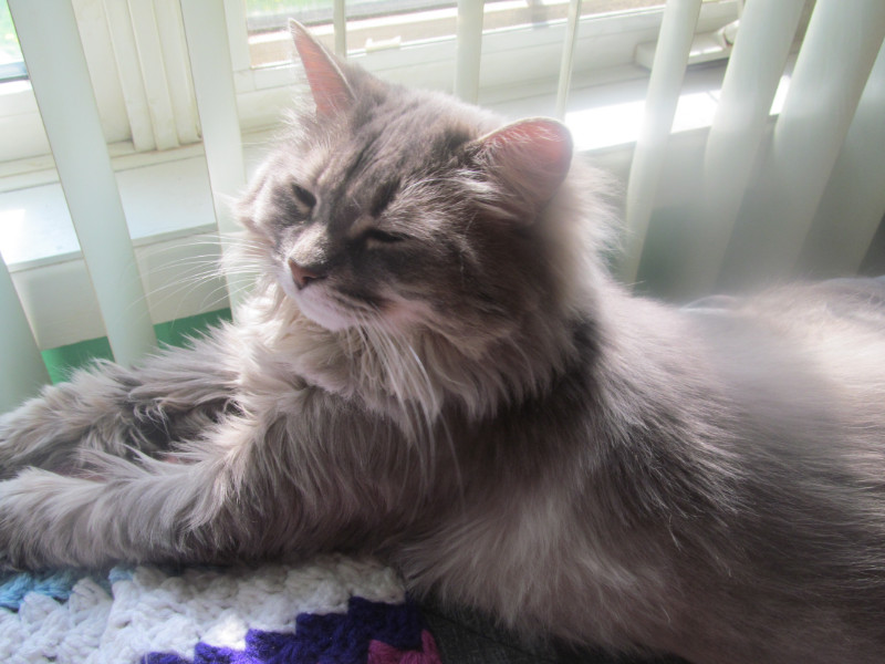 bbct549 uploaded   7 year/s ago