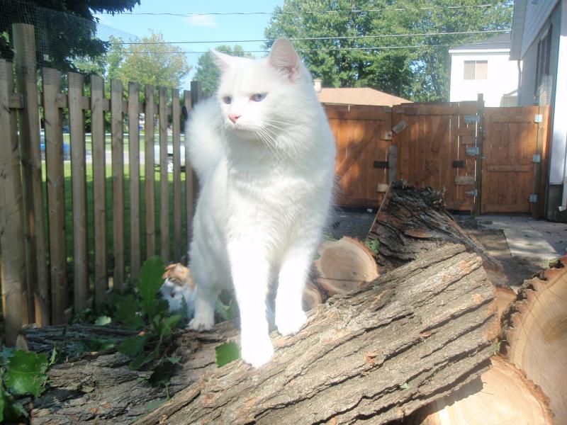 bbct549 uploaded   12 year/s ago