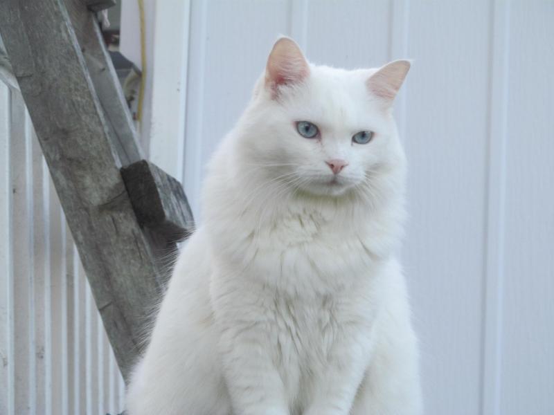 bbct549 uploaded   9 year/s ago