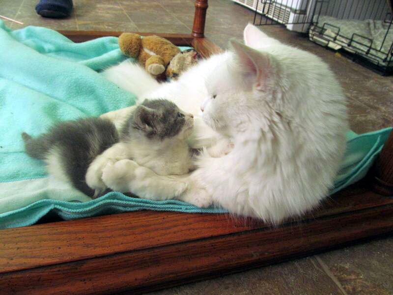 bbct549 uploaded   9 year/s ago