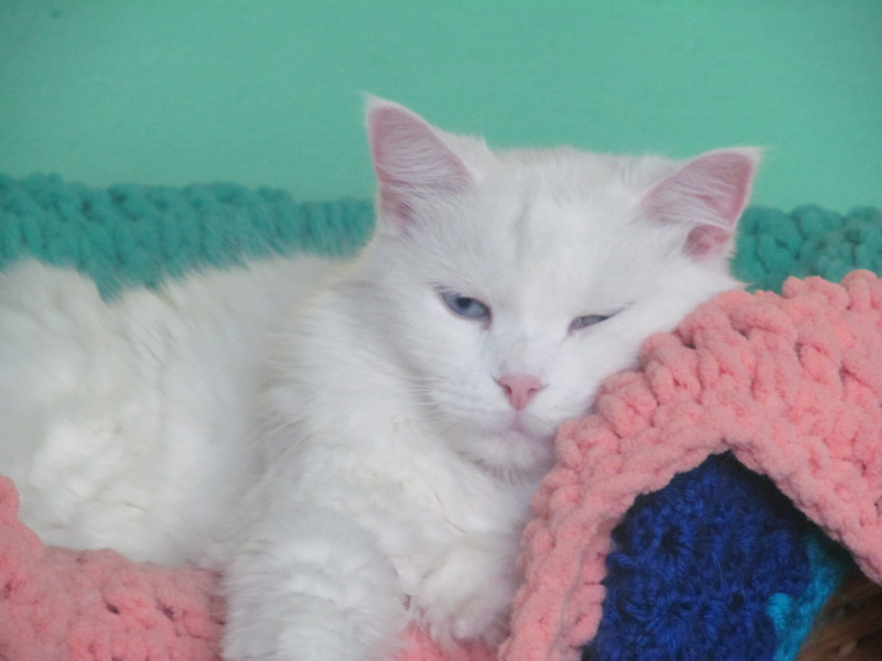 bbct549 uploaded   6 year/s ago