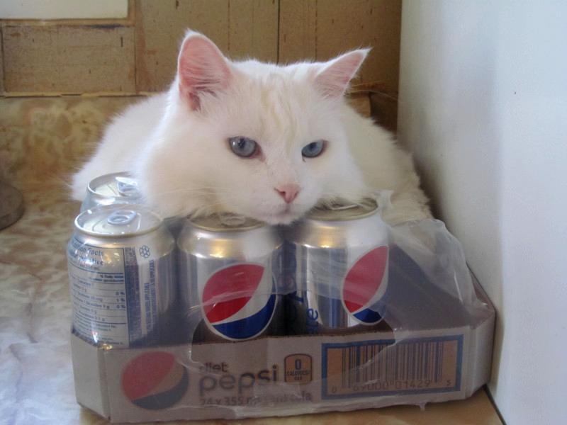 bbct549 uploaded   5 year/s ago