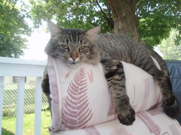 bbct549 uploaded   12 year/s ago