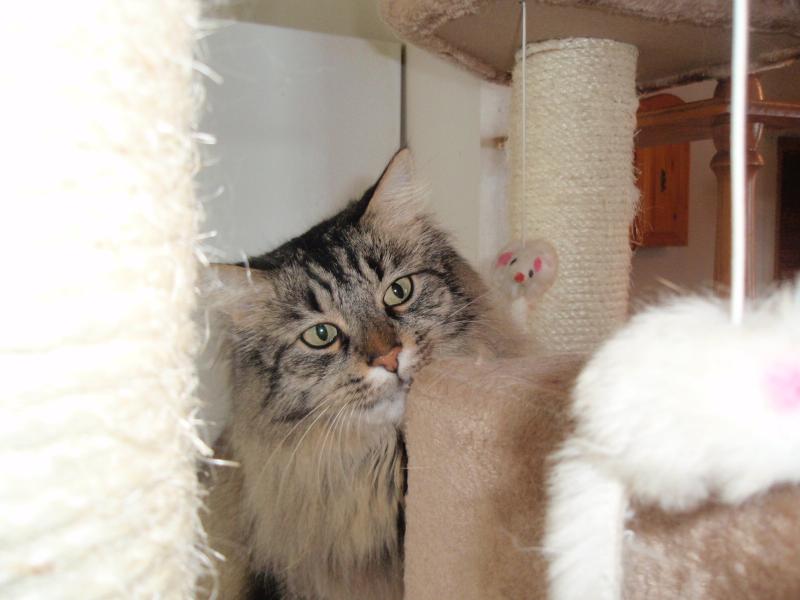 bbct549 uploaded   12 year/s ago