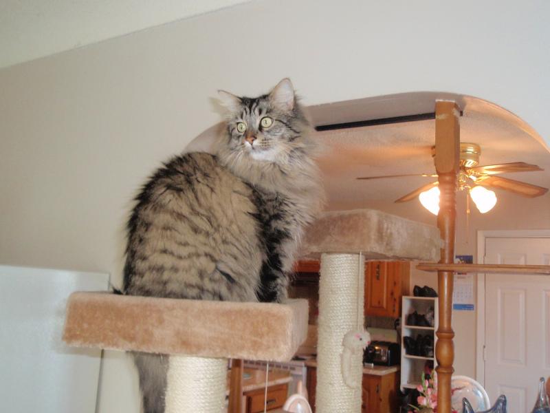 bbct549 uploaded   12 year/s ago