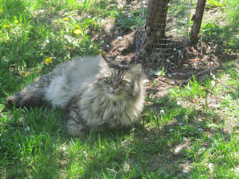 bbct549 uploaded   8 year/s ago