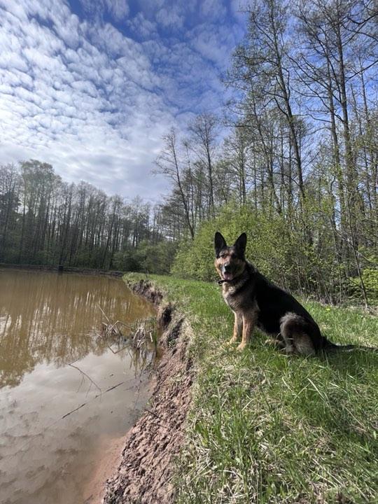 birutakimi uploaded   1 year/s ago