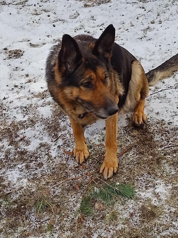 birutakimi uploaded   1 year/s ago