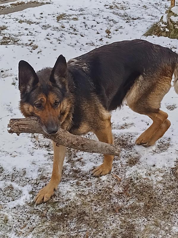 birutakimi uploaded   1 year/s ago