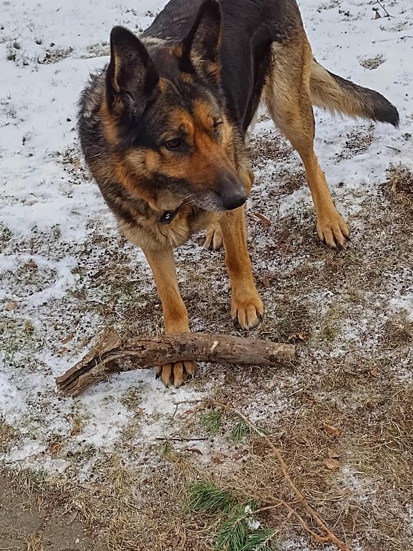 birutakimi uploaded   1 year/s ago