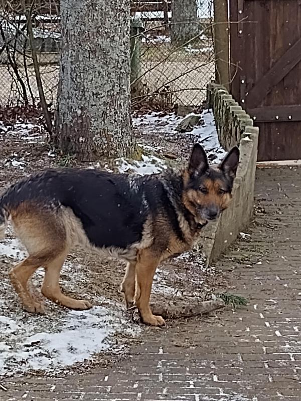 birutakimi uploaded   1 year/s ago