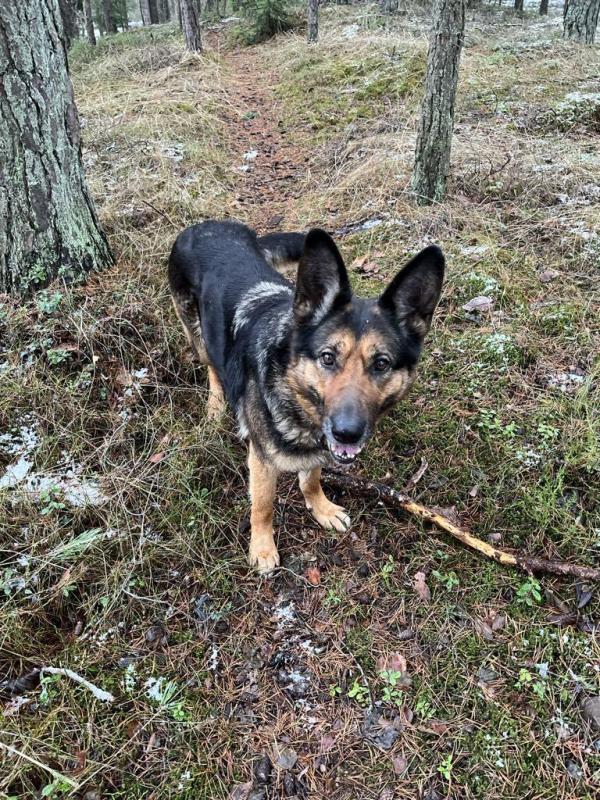 birutakimi uploaded   1 year/s ago