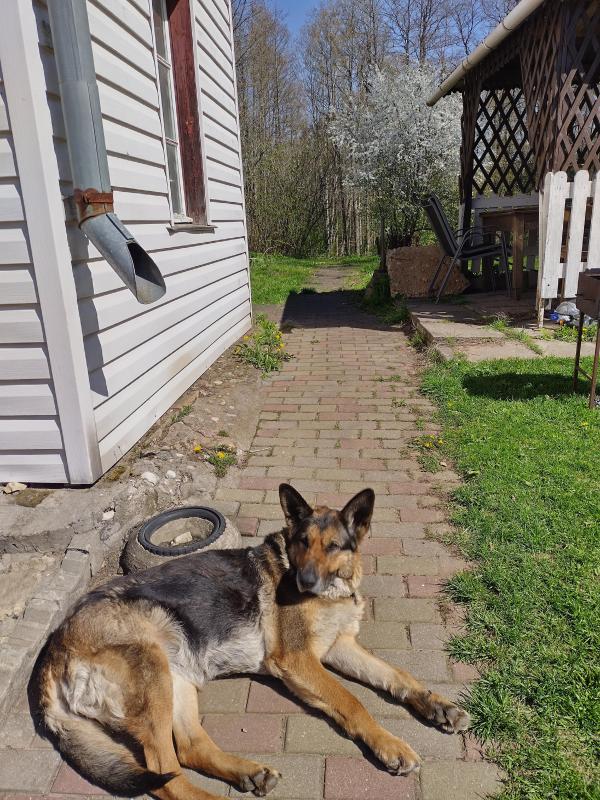 birutakimi uploaded   364  day/s  ago