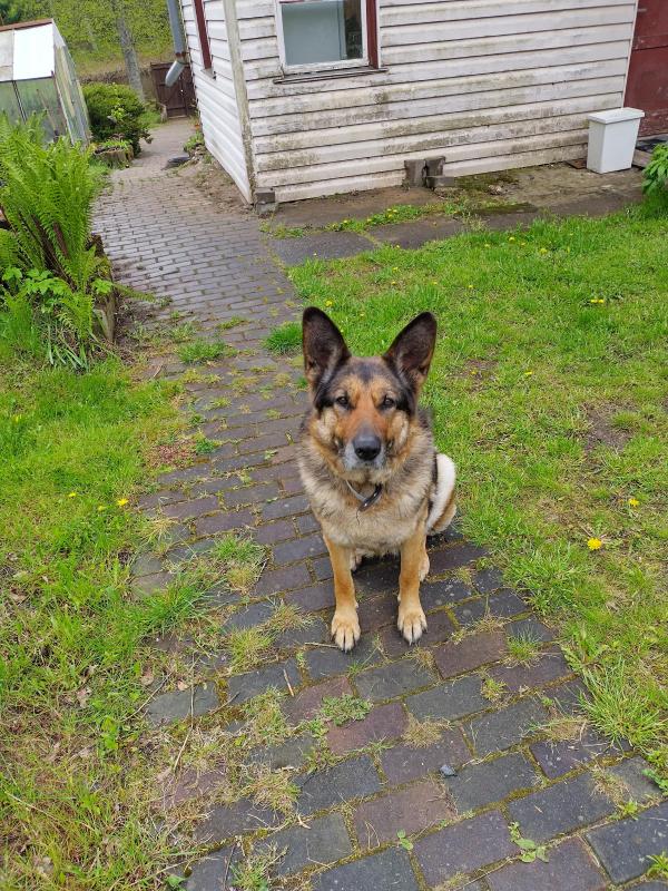 birutakimi uploaded   341  day/s  ago