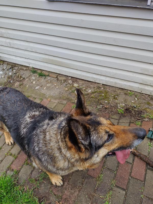 birutakimi uploaded   341  day/s  ago