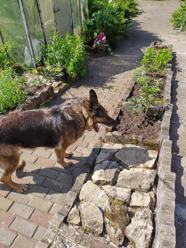 birutakimi uploaded   303  day/s  ago