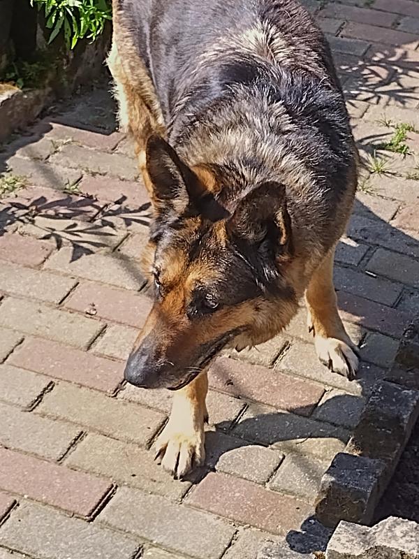 birutakimi uploaded   303  day/s  ago