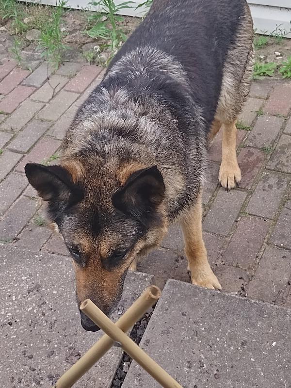 birutakimi uploaded   276  day/s  ago