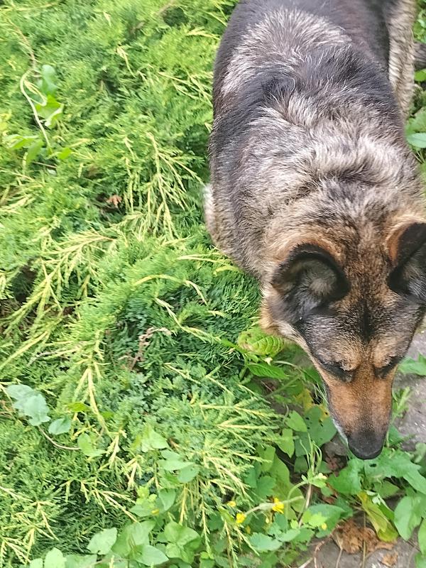 birutakimi uploaded   276  day/s  ago