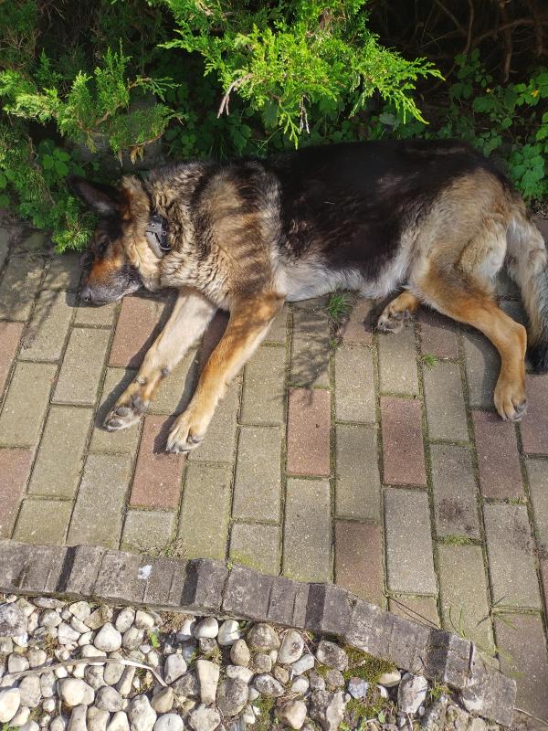 birutakimi uploaded   258  day/s  ago