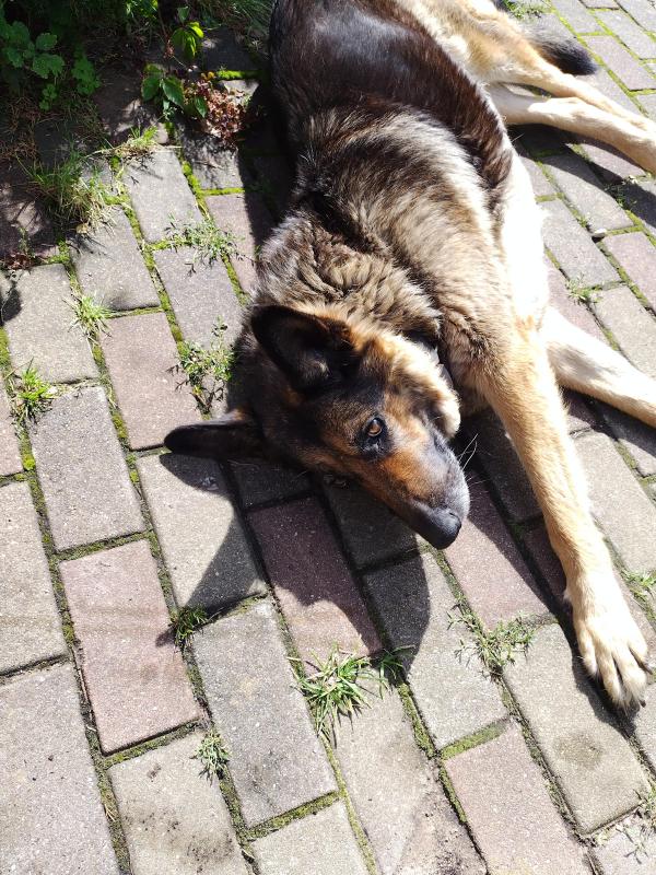 birutakimi uploaded   234  day/s  ago