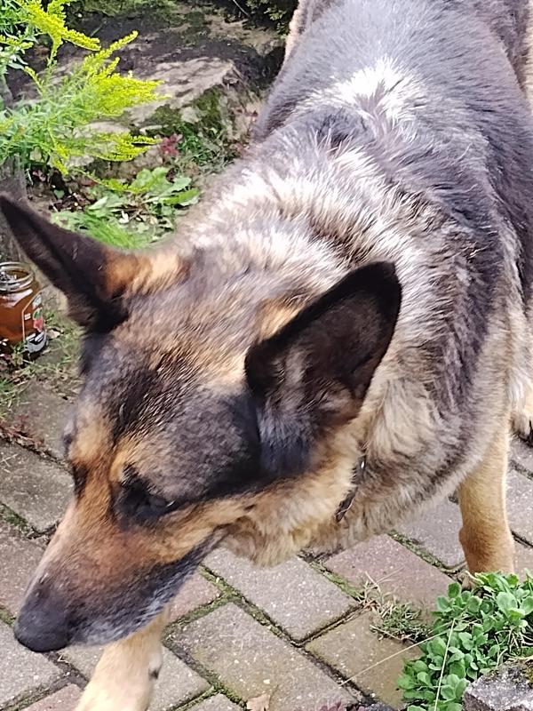 birutakimi uploaded   234  day/s  ago