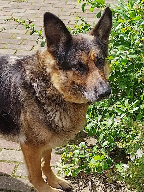 birutakimi uploaded   161  day/s  ago