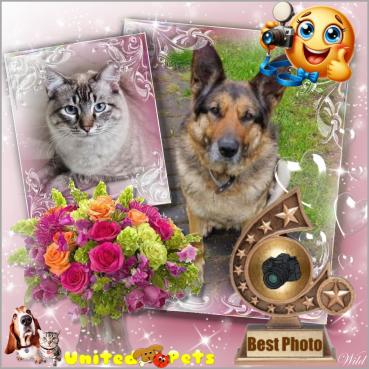 Ronda of the birutakimi family