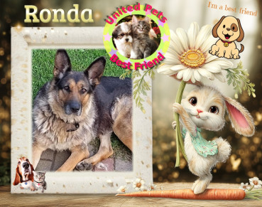 birutakimi uploaded   9  day/s  ago