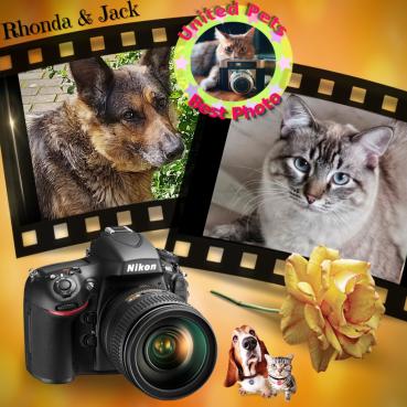 Ronda of the birutakimi family