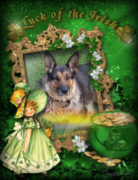 Ronda of the birutakimi family