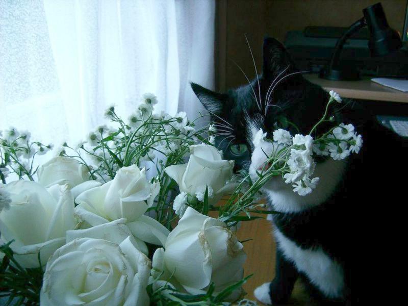 birutakimi uploaded   5 year/s ago