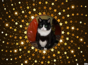 Kimi of the birutakimi family